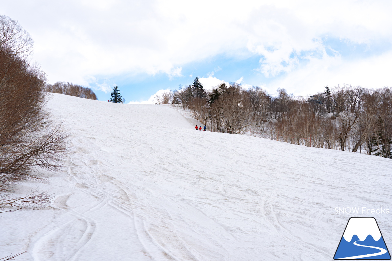 キロロリゾート｜寒波到来で、雪解けはひと休み。滑走距離2,000ｍ級のロングコースを楽しみましょう(^_-)-☆